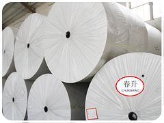 【創(chuàng)新的聚酯胎 要買(mǎi)優(yōu)惠的長(zhǎng)絲聚酯胎,就到壽光春升】創(chuàng)新的聚酯胎 要買(mǎi)優(yōu)惠的長(zhǎng)絲聚酯胎,就到壽光春升批發(fā)價(jià)格,廠家,圖片,壽光市春升非織造布 -