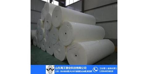 張掖長絲聚酯胎_山東海王_長絲聚酯胎價格